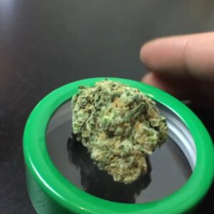 Buy Blue Dream Online in Oslo