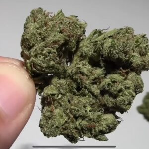 Buy OG Kush Online In Oslo