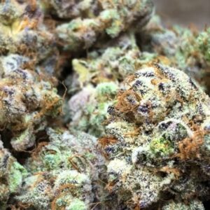 Buy Purple Haze Online In Oslo